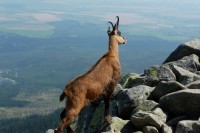 /album/zahranici/p1240605-jpg/