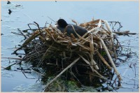 /album/fotogalerie-vezicky-rybnik/p1280738-jpg/